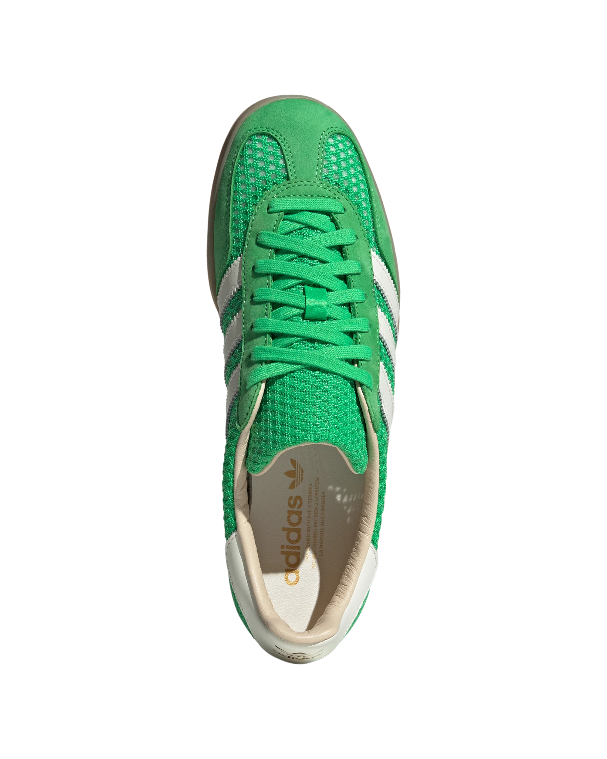 Gazelle Indoor - Image 3